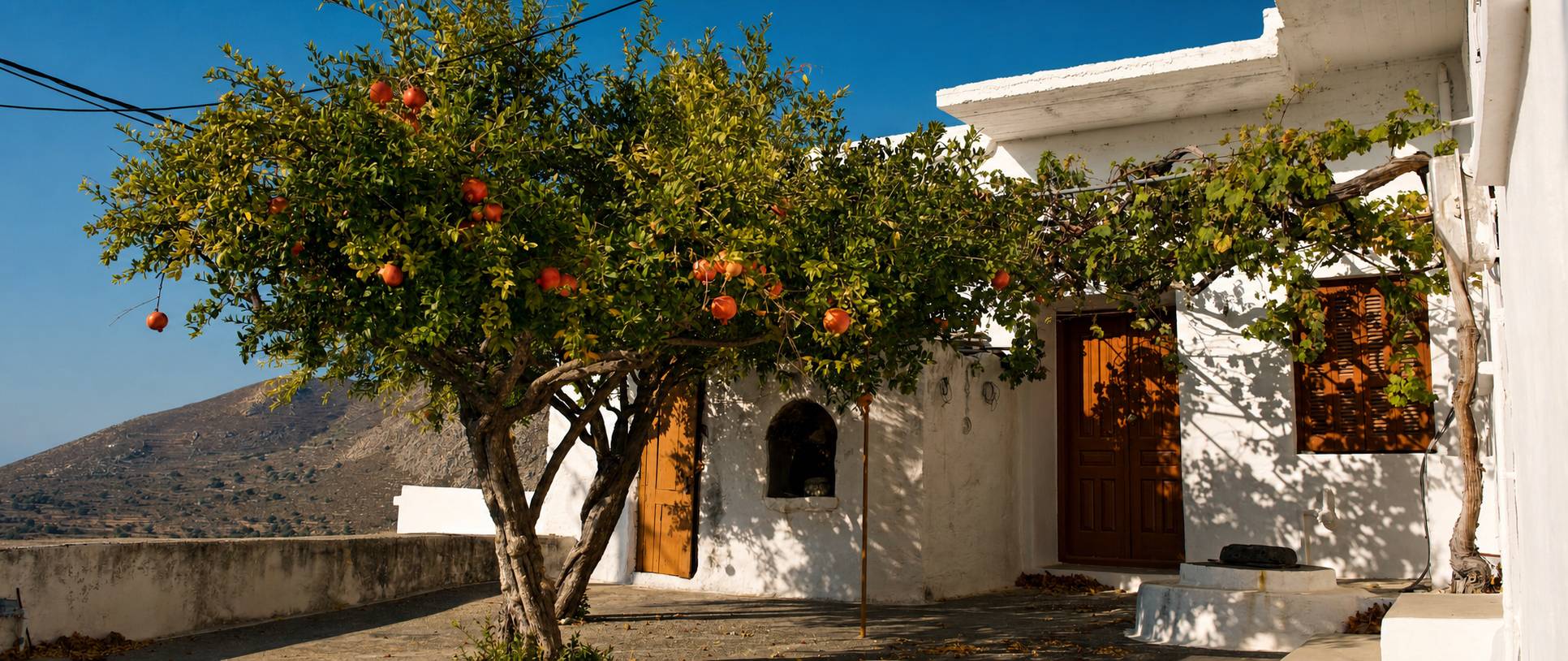 Tilos