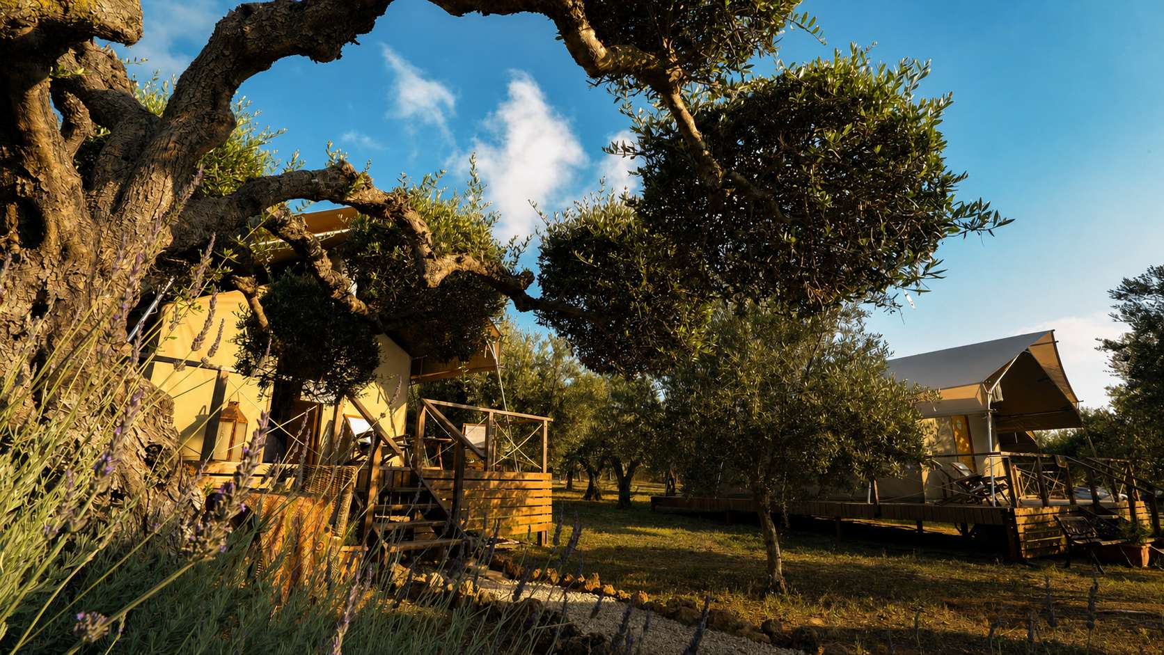 Greece Glamping / Agrikies Country Retreat