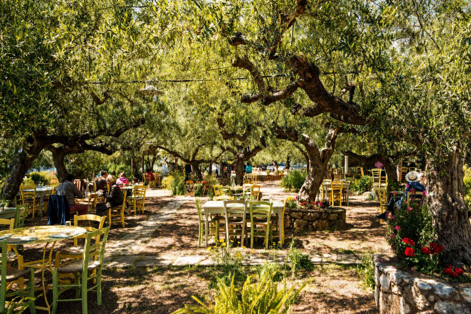 South Peloponnese Best Restaurants / Elies