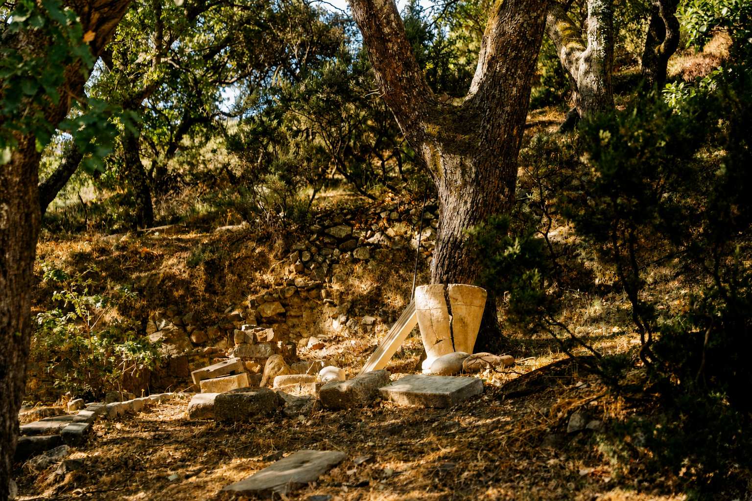 Kissamos beyond the famous beaches: an old plane tree in Milia