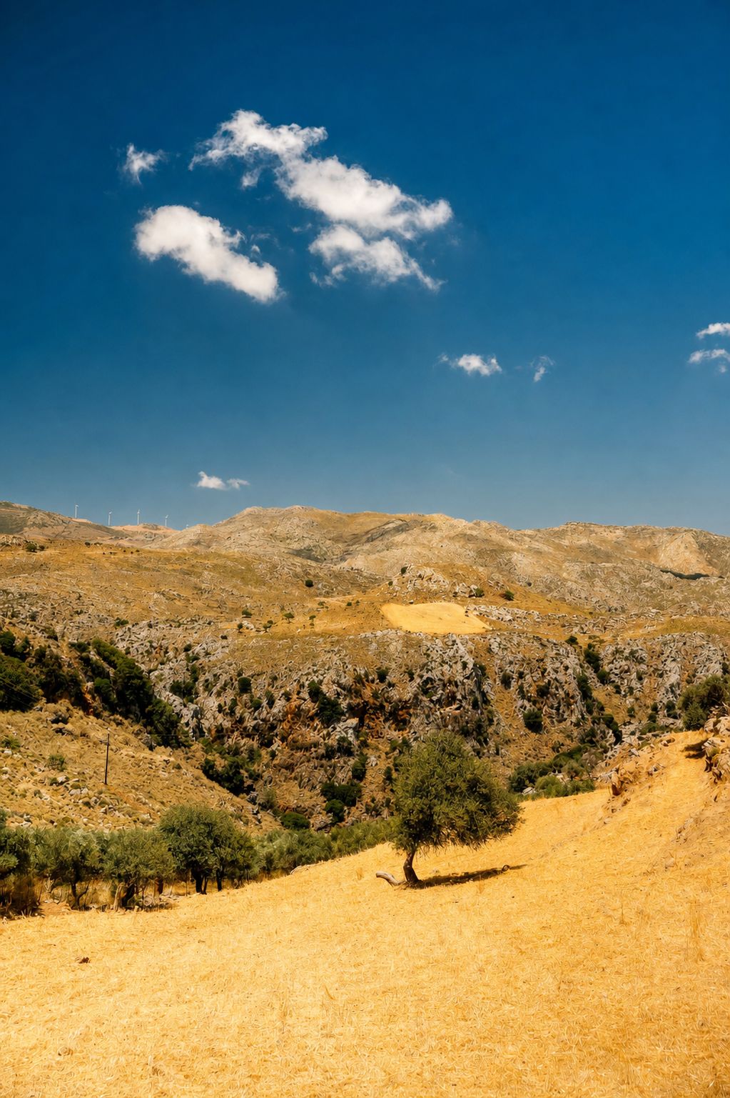 Kissamos beyond the famous beaches: a mountain view from Sirikari Gorge
