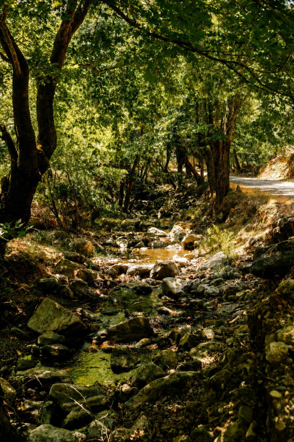 Kissamos beyond the famous beaches: a stream in Sirikari Gorge