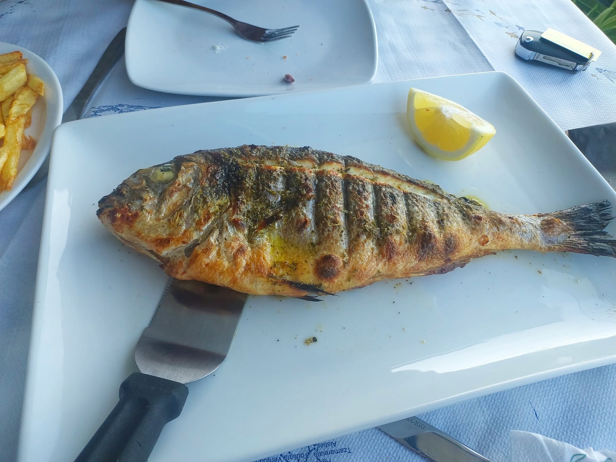 Best Restaurants in the Ioanian Islands / I Kalyva tou Psara