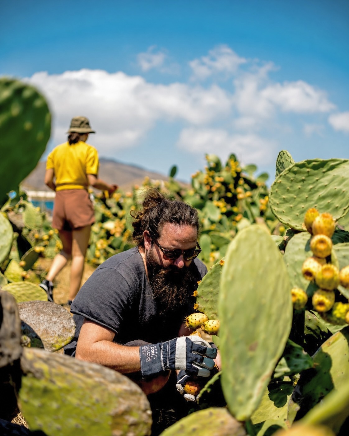 12 Best Island Beers / Mikonou