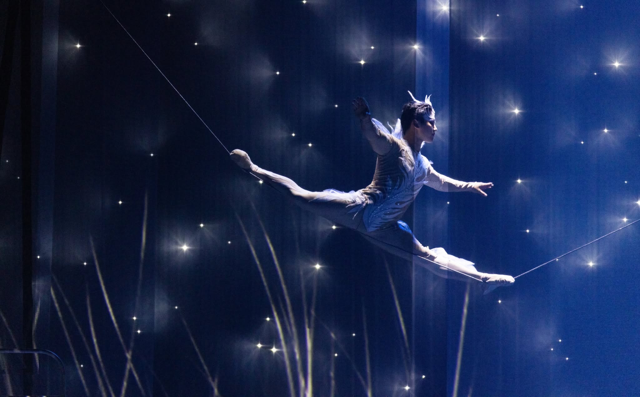 2026 Athens Fall Cultural Agenda - SWAN: Acrobatic Dance Drama / Chinese Acrobatic Troupe