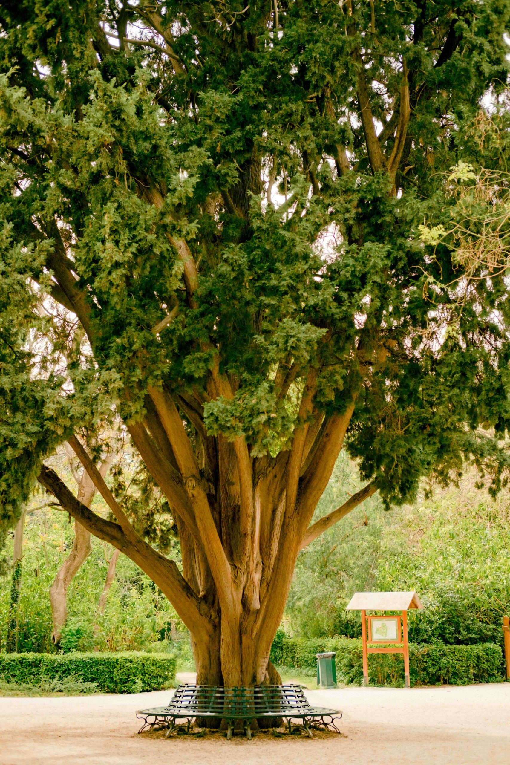 National Garden Athens