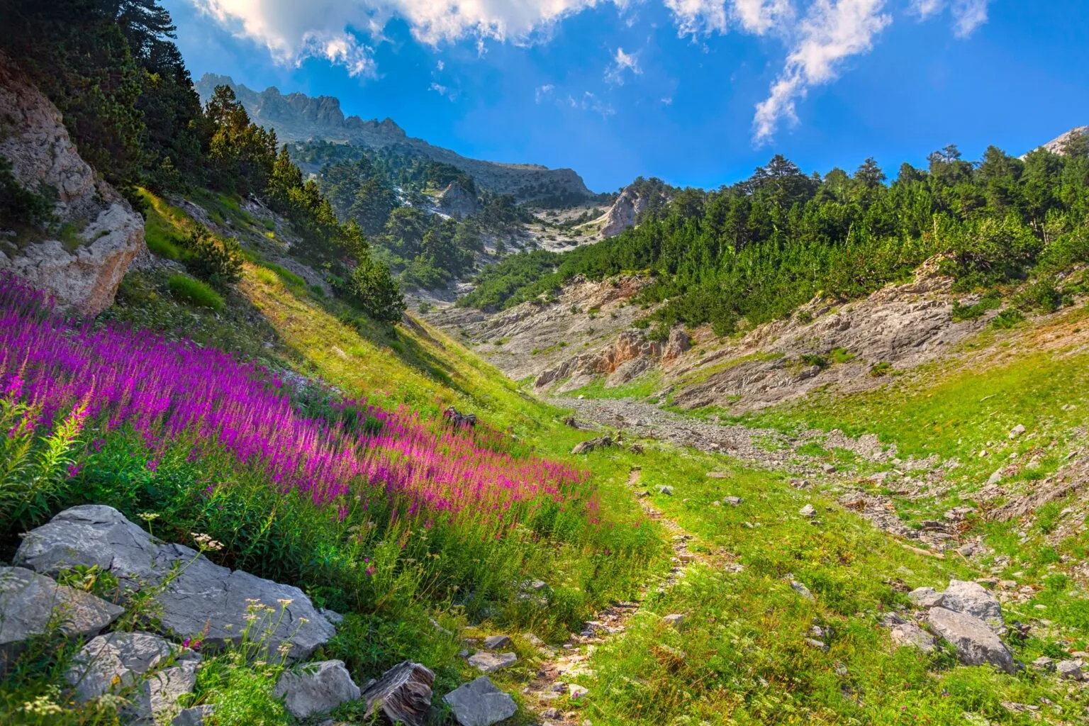 olimpus-4-1536x1024.webp